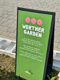 📍 잠실 롯데월드몰 앞 워터가든
