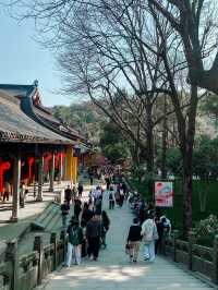 Lingyin Temple 