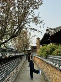 날 좋은 날 전주 한옥마을 산책