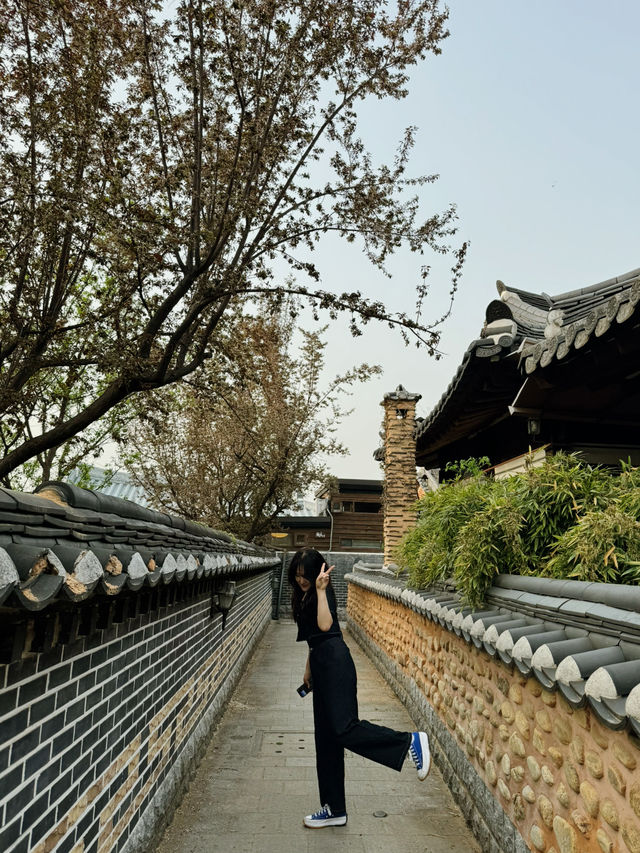 날 좋은 날 전주 한옥마을 산책