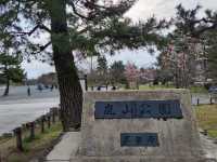 京都旅行　嵐山公園