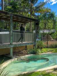 Sydney’s Wildest Family Day Out – Unforgettable Moments at Featherdale!