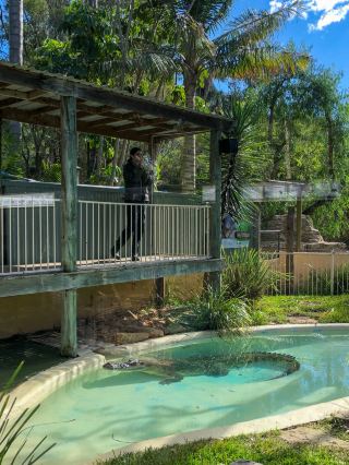 Sydney’s Wildest Family Day Out – Unforgettable Moments at Featherdale!