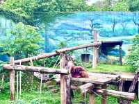 ［新竹旅遊］新竹市立動物園-親子共遊好去處🐒