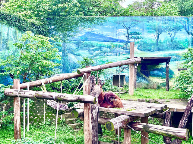 ［新竹旅遊］新竹市立動物園-親子共遊好去處🐒