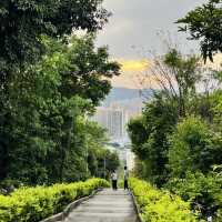 深圳小眾公園推荐：求水山覽勝景
