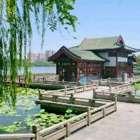 潮州西湖 x 風景如畫
