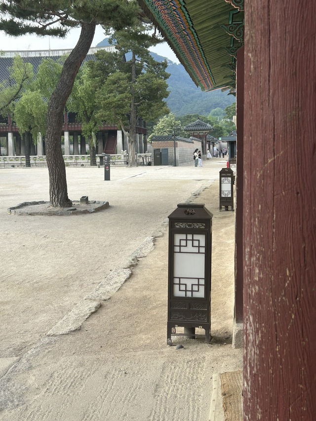📸 고궁의 아름다움과 여유를 느낄 수 있는 산책 명소, 경복궁