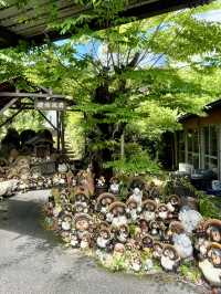 A Day of Adorable Art in Shiga 🐾