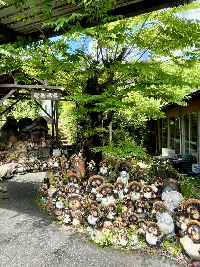 A Day of Adorable Art in Shiga 🐾