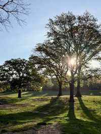 Prospect Park