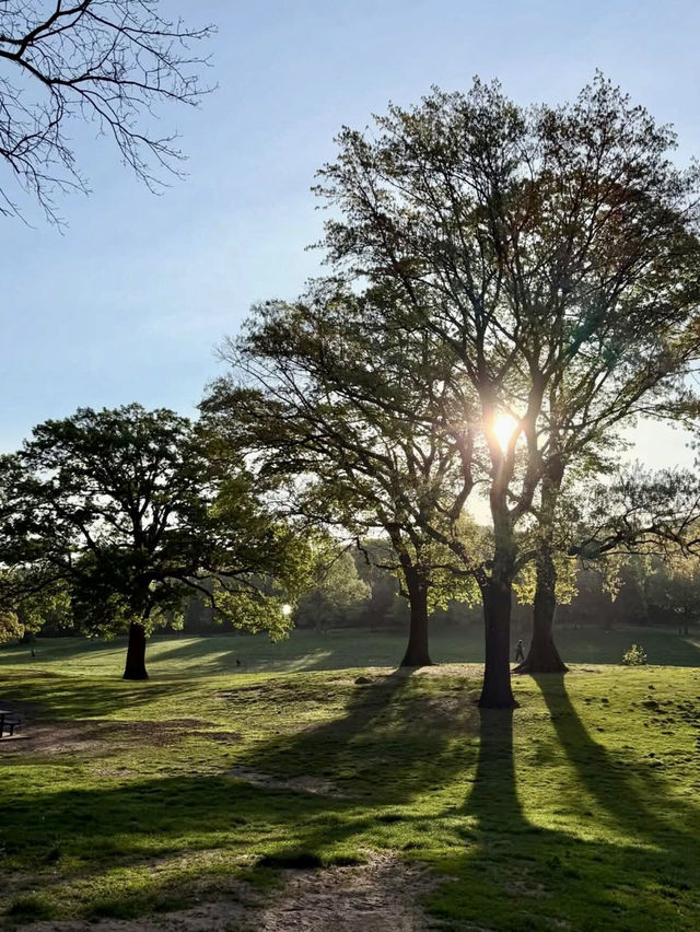 Prospect Park