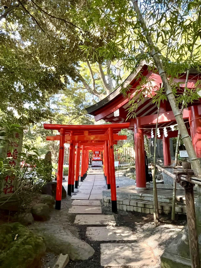 A Calm & Cozy Getaway in Atami 🧖‍♀️🌿
