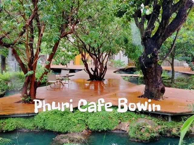 phuri cafe bowin ธีมเหมือนเป็นป่ากลางเมือง