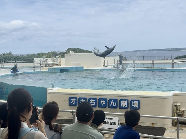 沖繩｜時隔七年再訪海豚劇場 精彩演出絕對必看