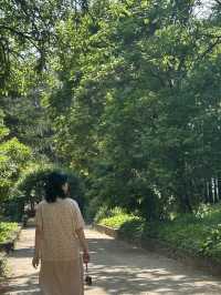 🌳 계절마다 아름다운 자연, 충북 산림환경연구소 (미동산수목원)