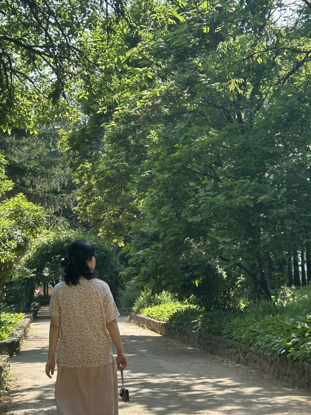 🌳 계절마다 아름다운 자연, 충북 산림환경연구소 (미동산수목원)