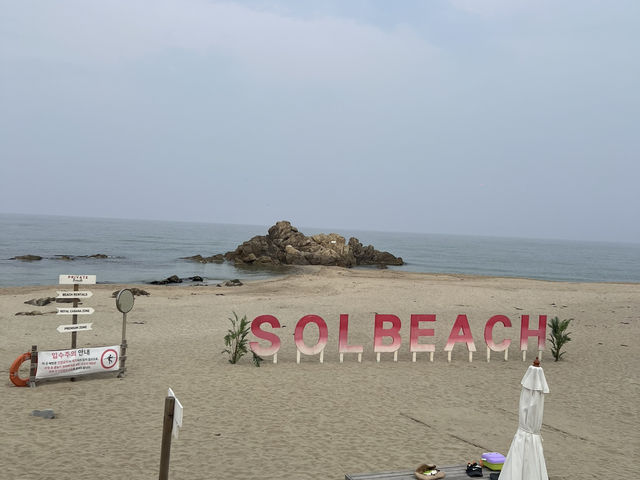 오션뷰가 다 한 쏠비치 양양 호텔 🌊