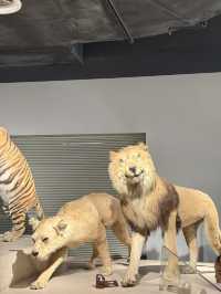 Shanghai Natural History Museum