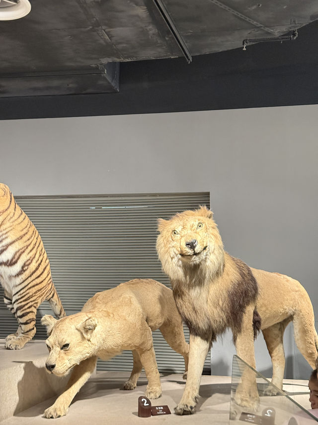 Shanghai Natural History Museum