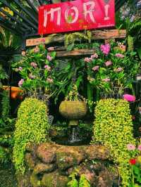 Muguet de Café & Art space
