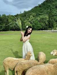 1 Day Trip 🪿Alpaca Hill ราชบุรี!🚗💨