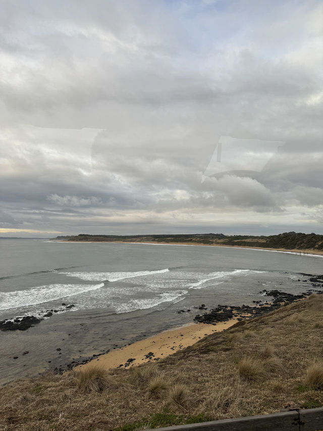 🇳🇿✈️ The Nobbies" refers to a captivating natural area 🌊🐟