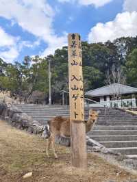 國家風景名勝區，奈良公園