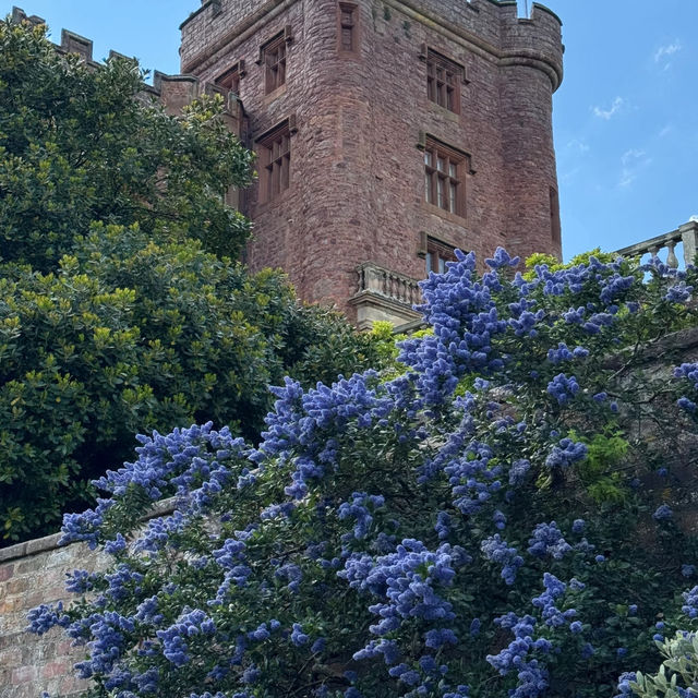 Manchester Day Trip: Powis Castle! 🏰🌳