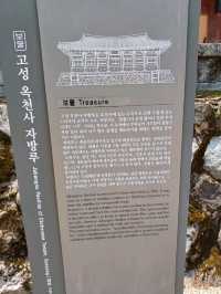 숲속 힐링코스로 딱 좋은 주말 나들이