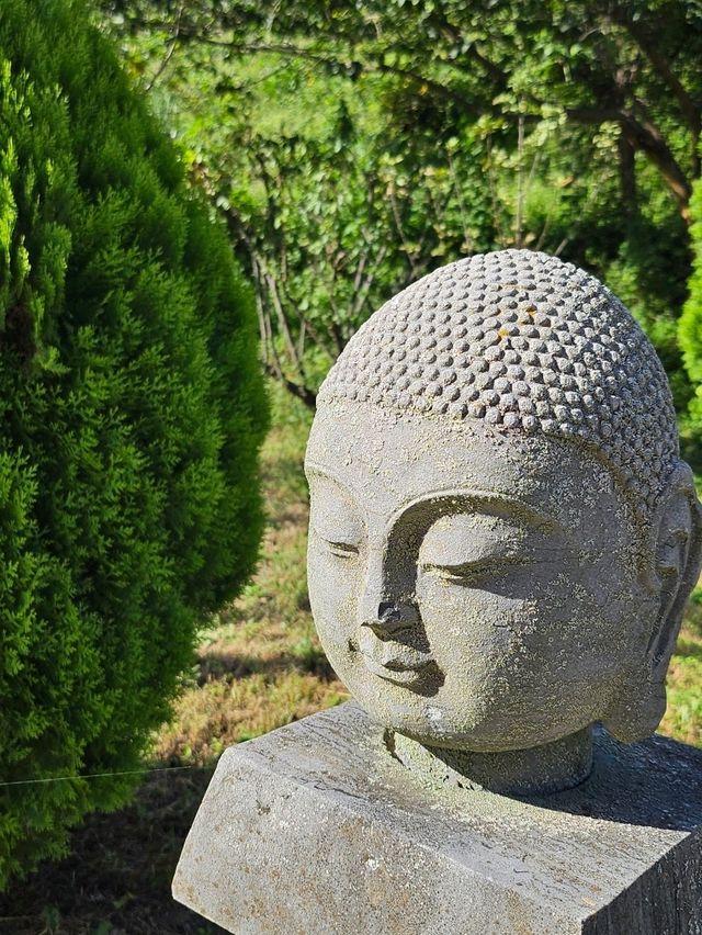 K-붓다빌리지 33m 와불이 있는 경주 감포 명소!