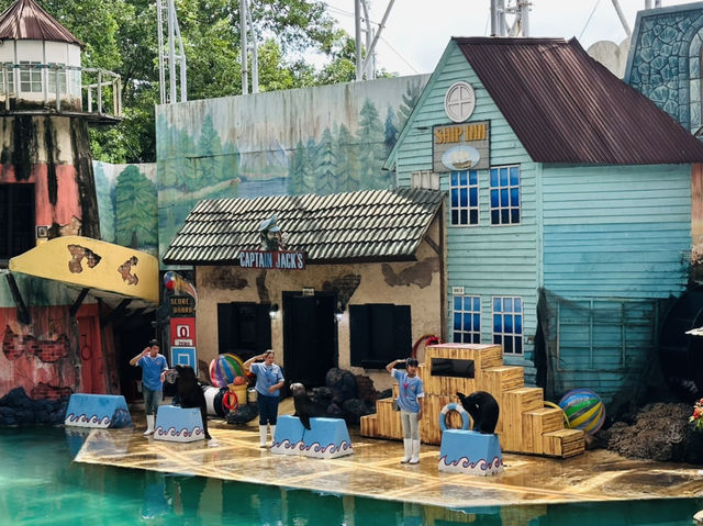 Don’t miss this in Bangkok: A day of thrills and unforgettable shows! 