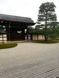 【京都】世界遺産　嵐山の「天龍寺」