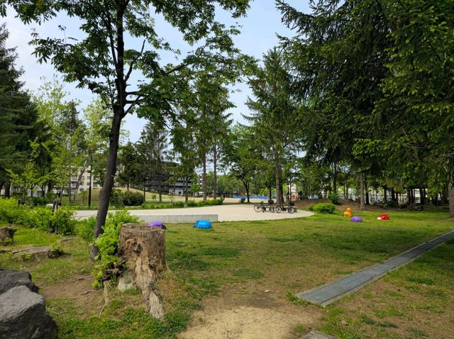해외여행 일본 삿포로 여행 중 들린 Midorigaoka Park