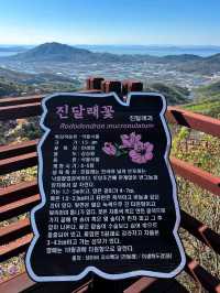 Goryeo Mountain Got Me Sweaty, Winded, and Totally in Love
