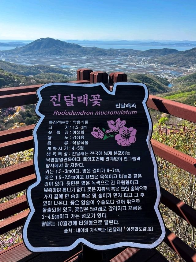 Goryeo Mountain Got Me Sweaty, Winded, and Totally in Love