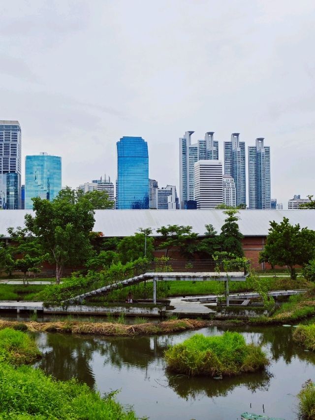 Serenity in the city: A stroll through Benchakiti Park, Bangkok