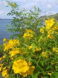 Baan Talay Koh Tao - Resort & Yoga