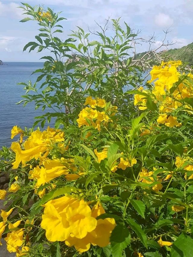Baan Talay Koh Tao - Resort & Yoga