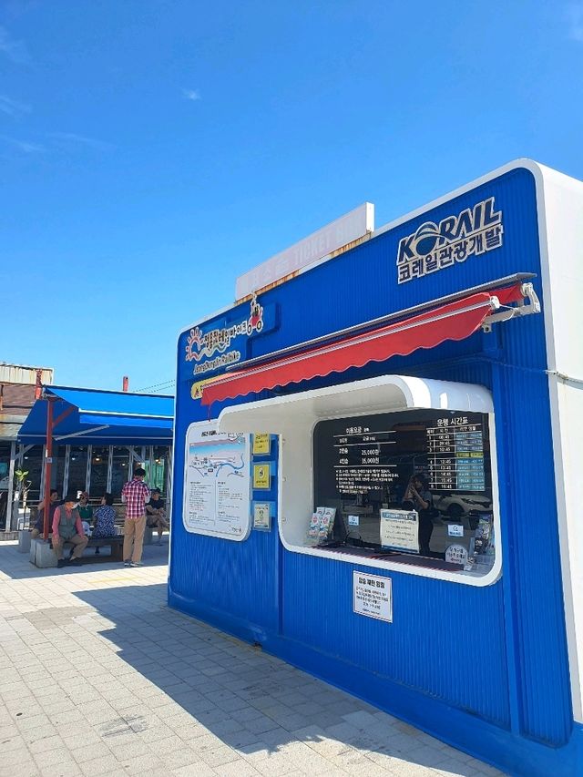 동해바다 오션뷰 레일바이크 즐기기⛱️