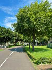 🌳 桃園三民運動公園｜城市裡的綠意呼吸，親子放電與運動愛好者的天堂