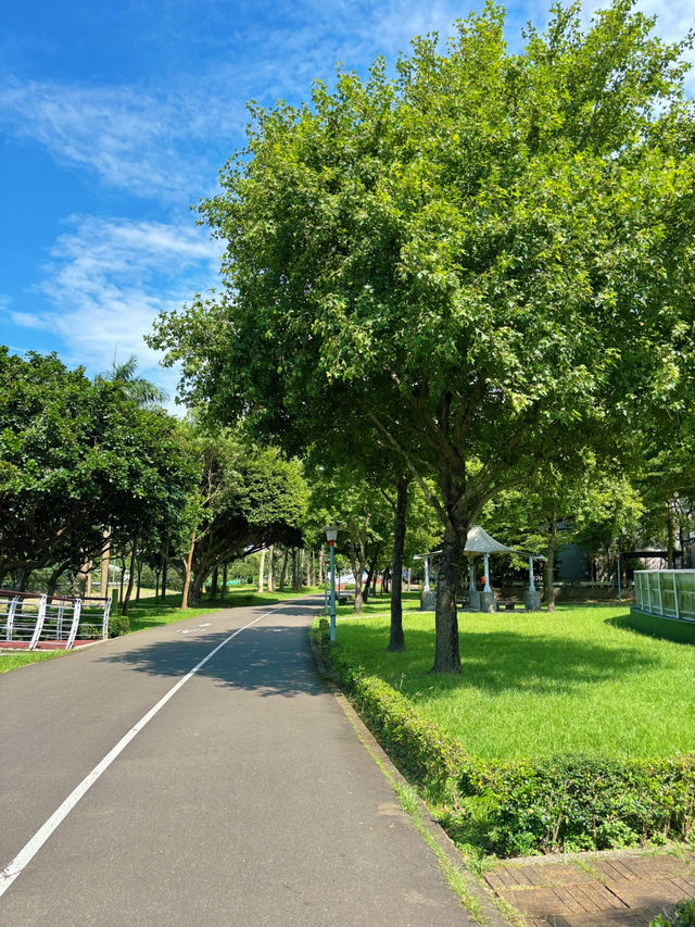 🌳 桃園三民運動公園｜城市裡的綠意呼吸，親子放電與運動愛好者的天堂