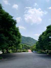 산책하기 딱 좋은 엑스포공원, 정자까지 있어요!