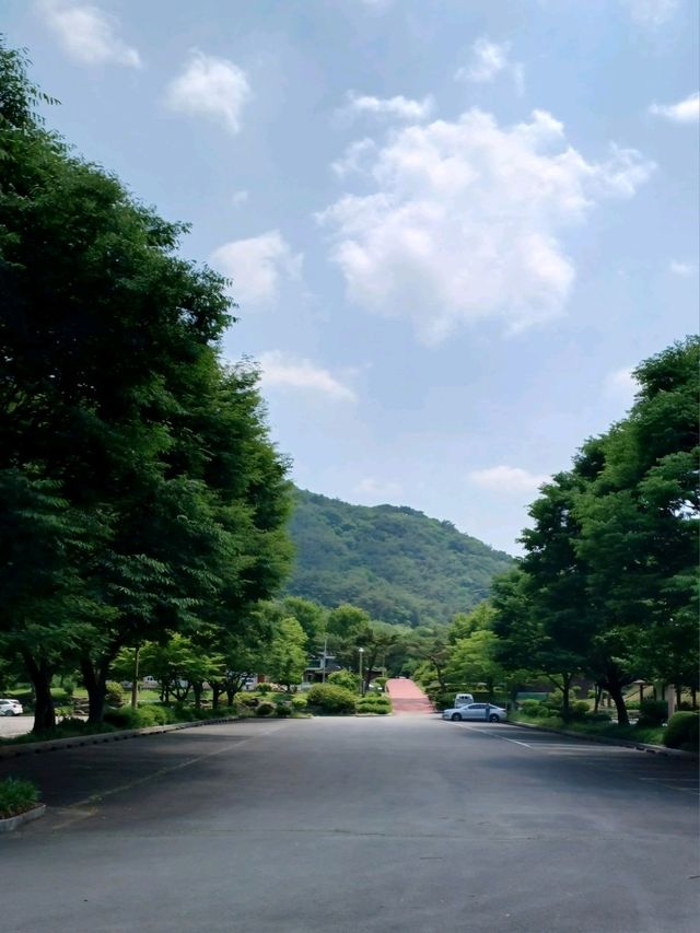 산책하기 딱 좋은 엑스포공원, 정자까지 있어요!