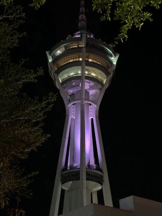 亞羅士打一日遊：從傳統到城市燈火！