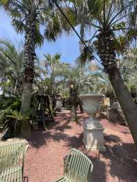 Kids friendly cafe and activity in Jeju