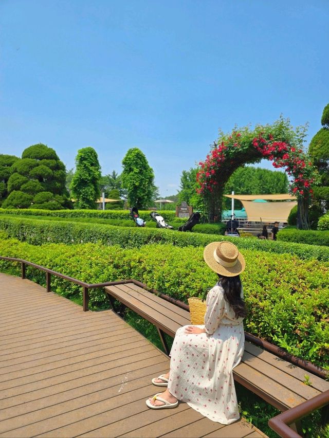 곰돌이와 장미를 볼수있는 세종 여행코스🧡