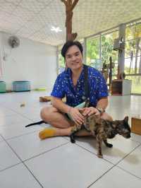 ศูนย์อนุรักษ์แมวไทยโบราณ