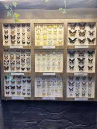 Happy Bee Farm & Insect World, A Buzzing Blend of Nature and Discovery
