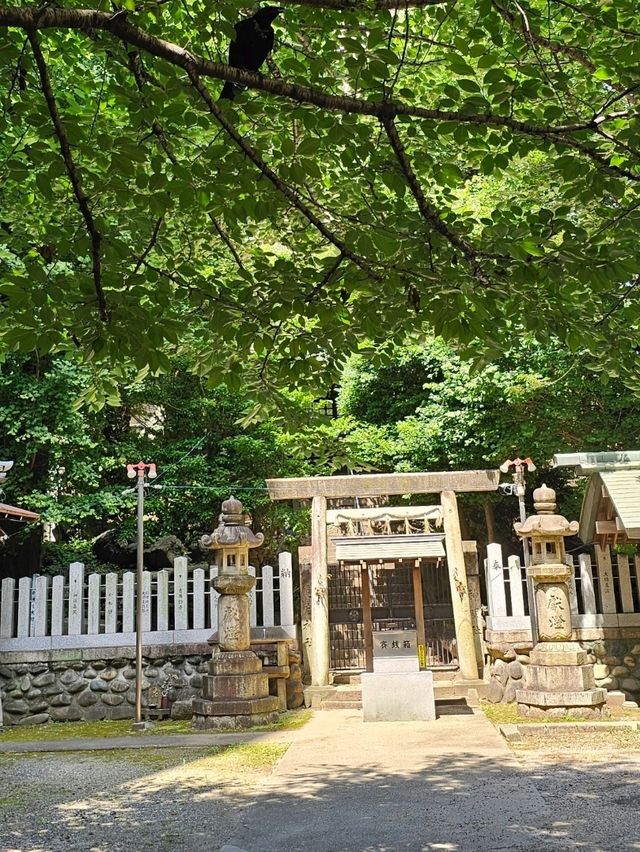名古屋大須鬧街旁的靜謐神社〔日出神社〕⛩️🌿